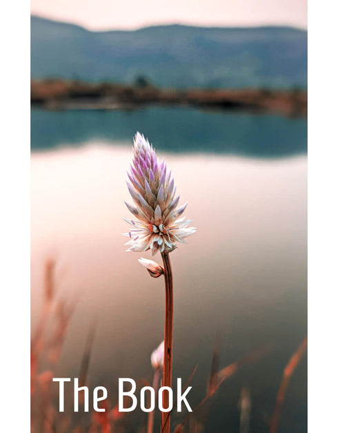 The Book 9